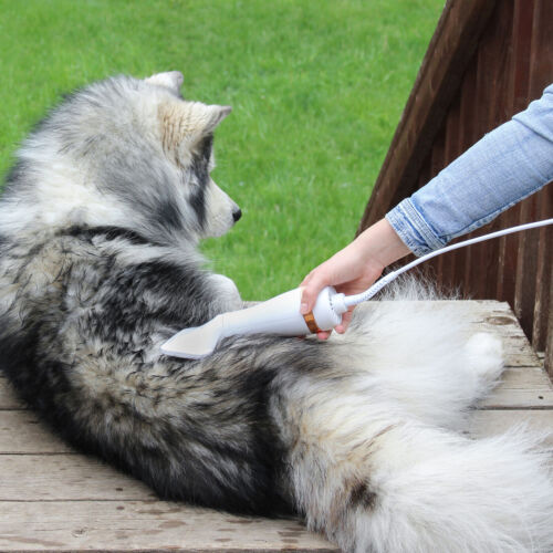 PetSec Pro - Escova Secadora para Pets